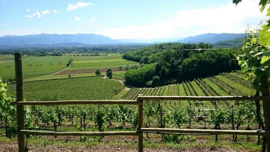 Tenuta Villanova