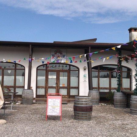 Cinghiai a Sotet