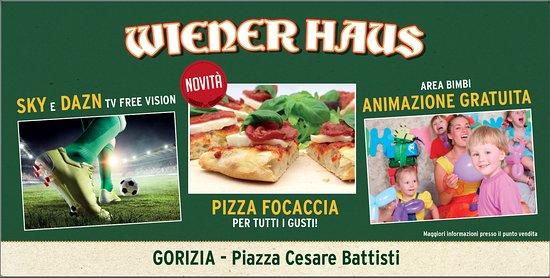 Wiener Haus