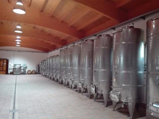 Agriturismo Bertossi