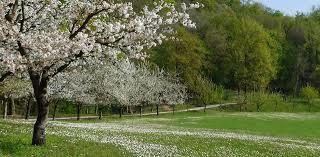 Parco Rurale di San Floriano