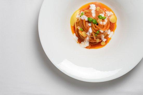 The Modernist Casual Bistro