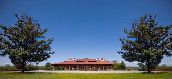 Museo del Vino