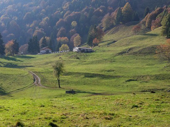 Malga Navas