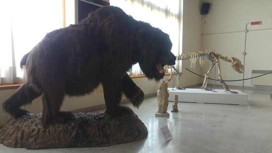 Museo della grotta
